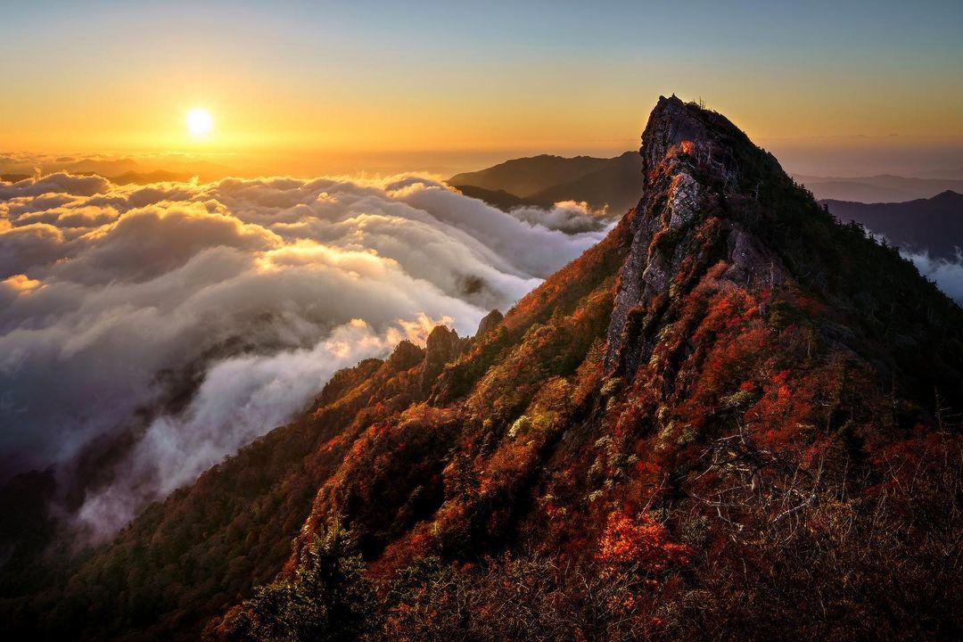 SONY α7R III / FE 12-24mm F2.8 GM SONY α7R III / FE 12-24mm F2.8 GM