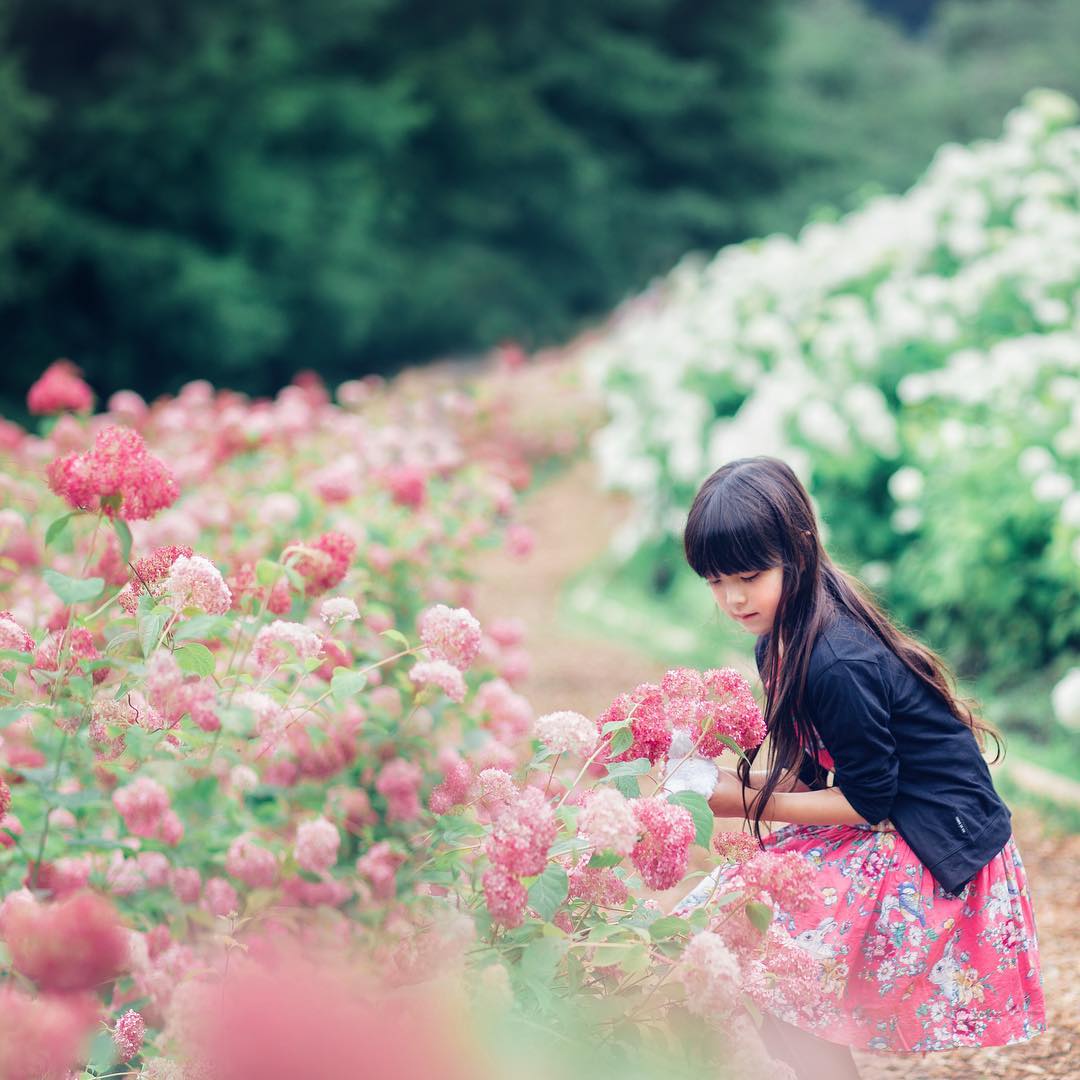 Canon EOS 6D / EF85mm F1.8 USM Canon EOS 6D / EF85mm F1.8 USM