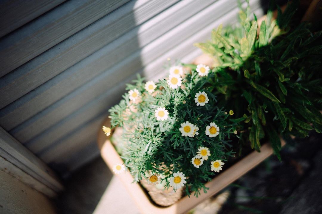SONY α7S / Voigtlander NOKTON 40mm F1.2 Aspherical SONY α7S / Voigtlander NOKTON 40mm F1.2 Aspherical