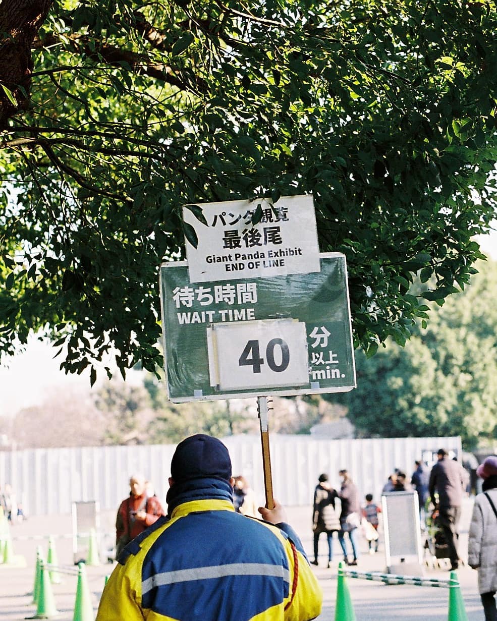 MINOLTA α7 / MINOLTA AF 50mm F1.4 MINOLTA α7 / MINOLTA AF 50mm F1.4