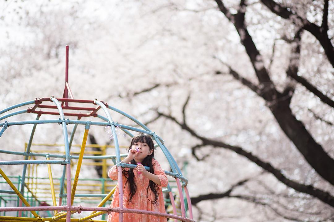 Canon EOS 6D / EF85mm F1.8 USM Canon EOS 6D / EF85mm F1.8 USM