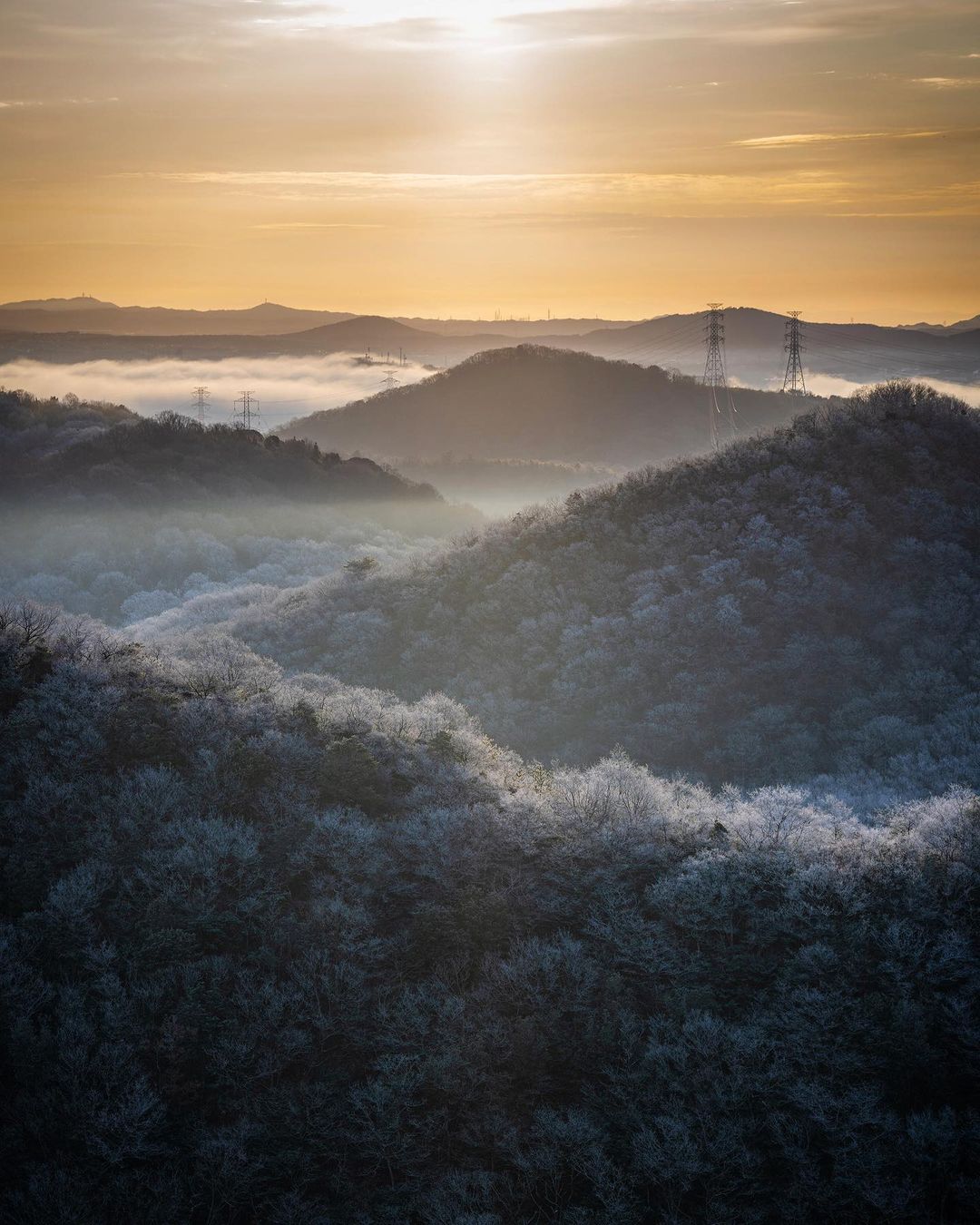 α7R IV / FE 70-200mm F2.8 GM OSS II α7R IV / FE 70-200mm F2.8 GM OSS II