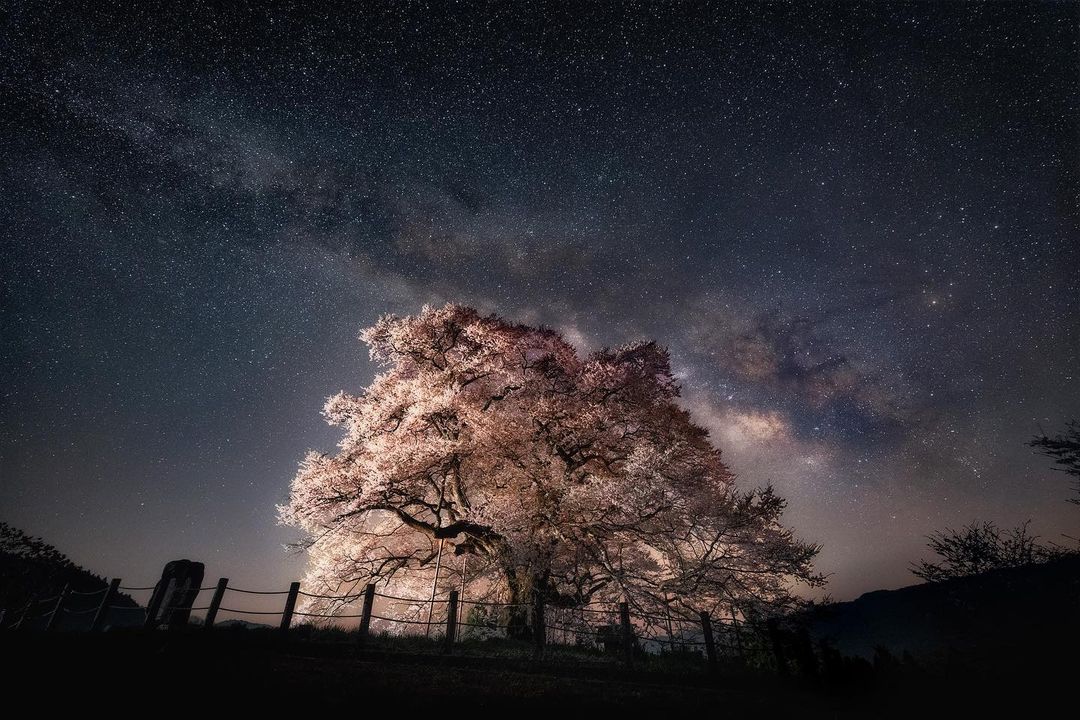 SONY α7 IV / FE 12-24mm F2.8 GM SONY α7 IV / FE 12-24mm F2.8 GM