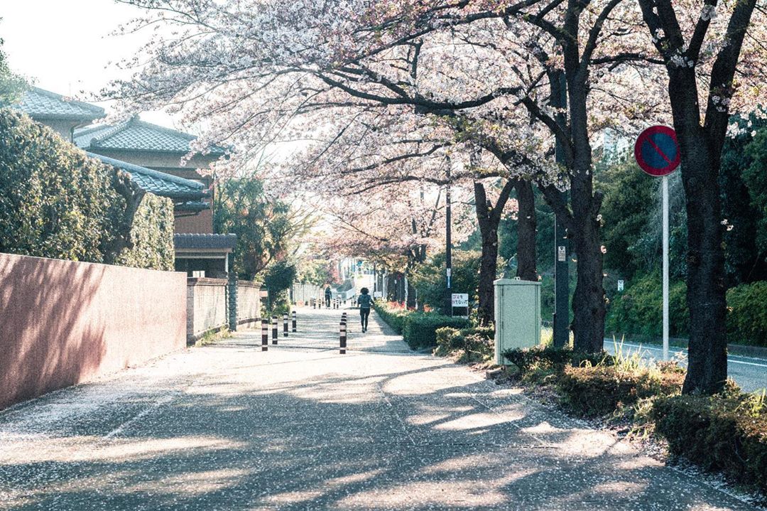 SONY α7 II / Helios 44-2 58mm F2 SONY α7 II / Helios 44-2 58mm F2