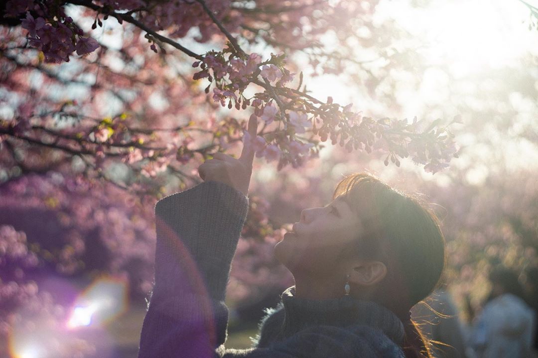 SONY α7 II / Helios 44-2 58mm F2 SONY α7 II / Helios 44-2 58mm F2