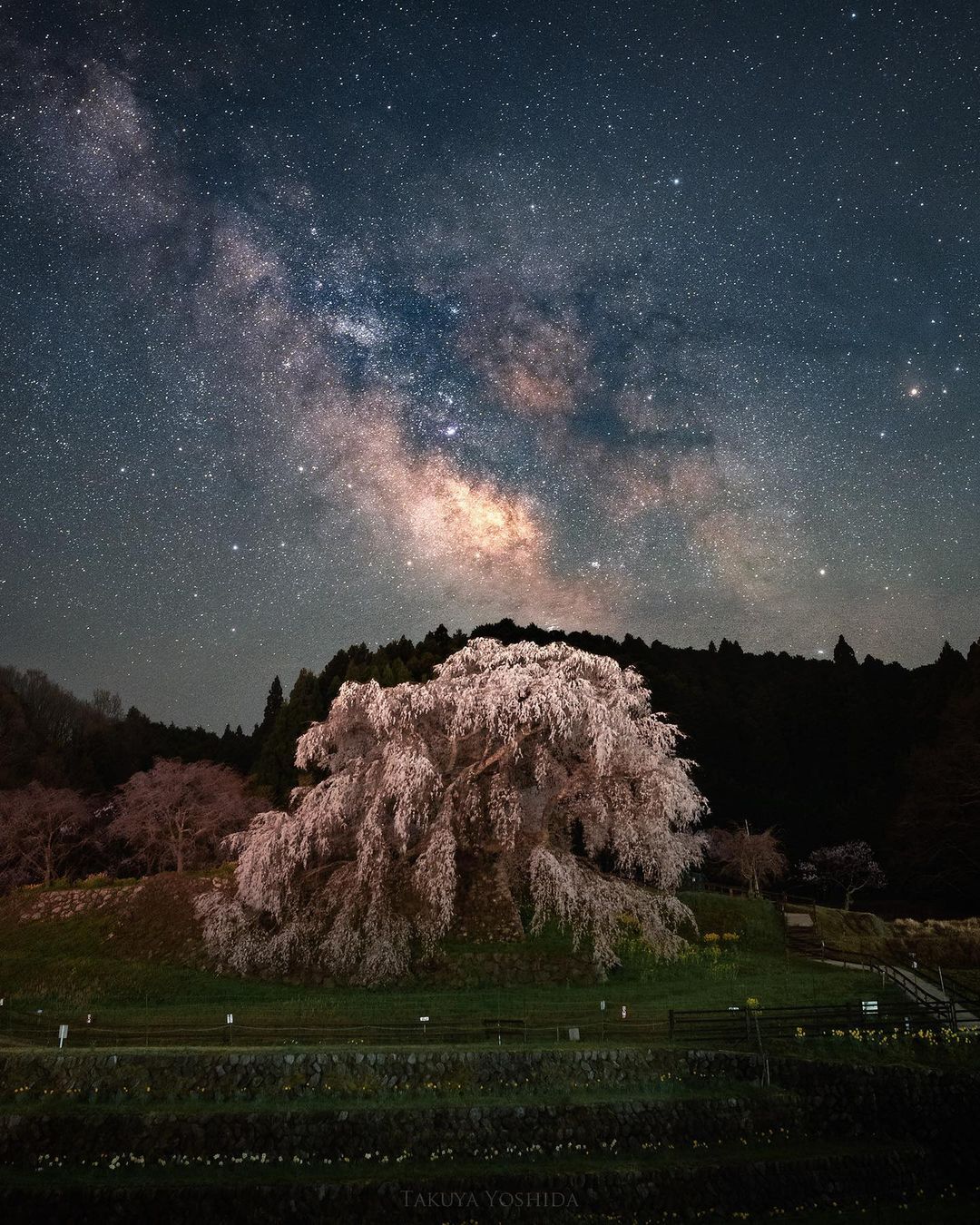 SONY α7 IV / FE 20mm F1.8 G SONY α7 IV / FE 20mm F1.8 G