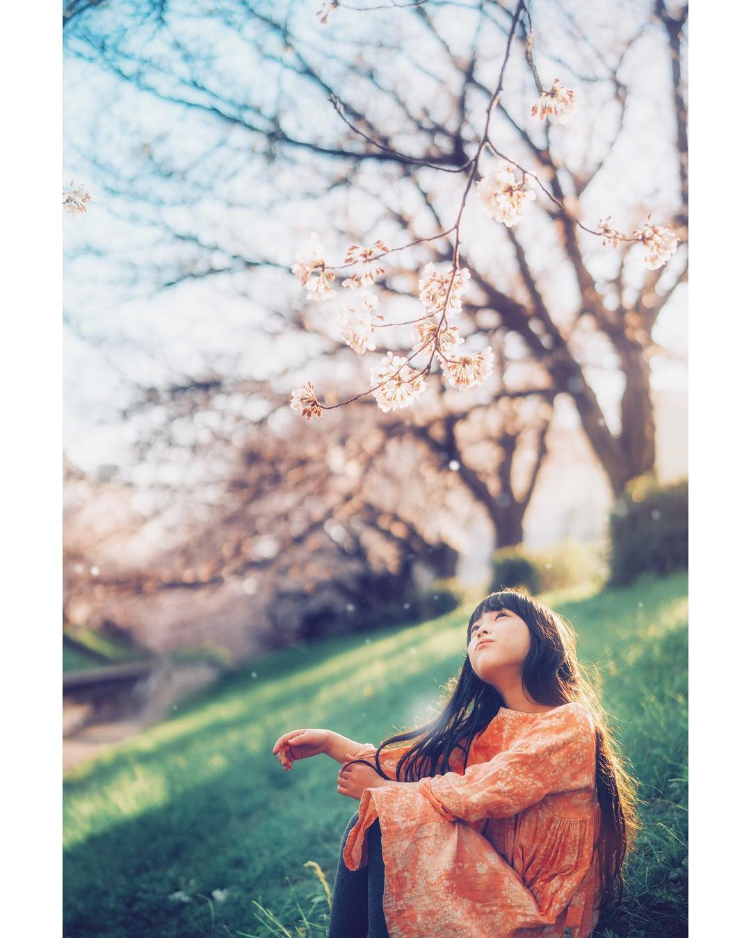 SONY α7 III / Planar T* FE 50mm F1.4 ZA SONY α7 III / Planar T* FE 50mm F1.4 ZA