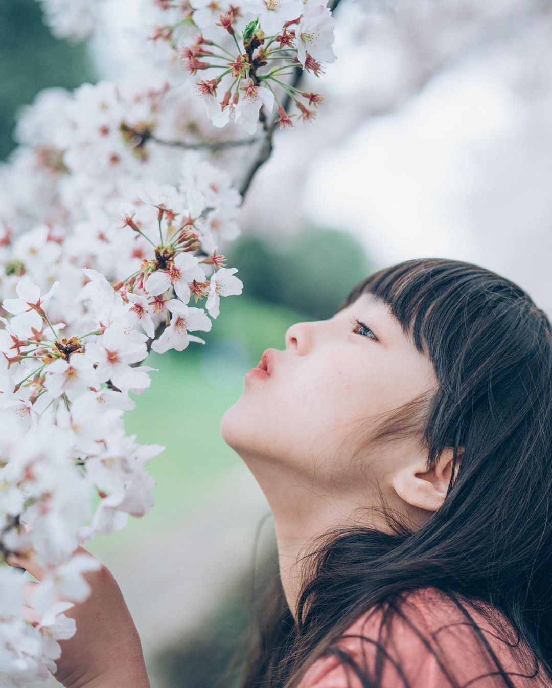 SONY α7 III / Planar T* FE 50mm F1.4 ZA SONY α7 III / Planar T* FE 50mm F1.4 ZA
